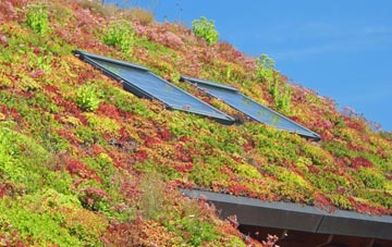 Mulfra living roof systems